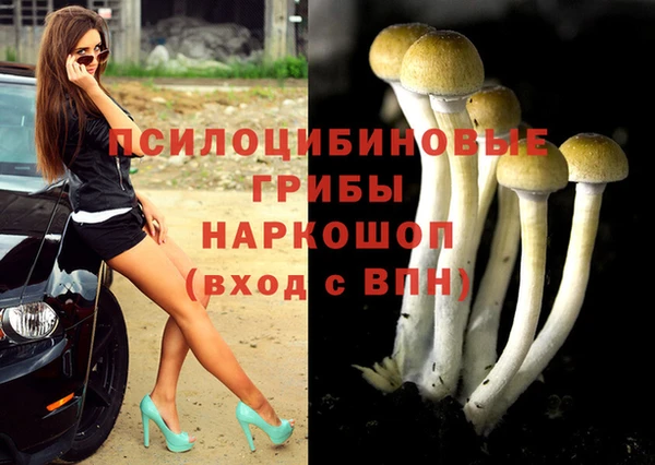 амф Алексин