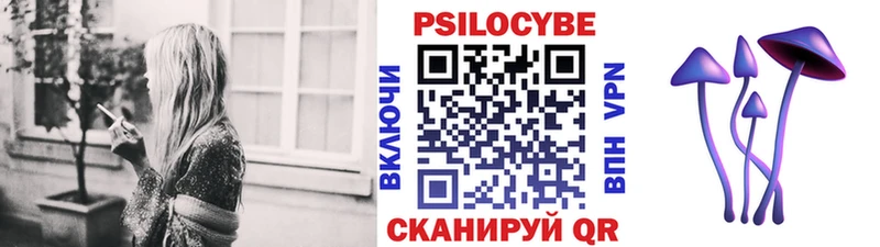 Псилоцибиновые грибы Psilocybe  Михайловск 